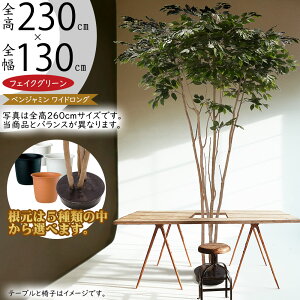 tFCNO[ ^  lC CeAO[ A ϗtA lHϗtA   xW~ tBJX xW~i   ^ W{ CeA IuWF A[