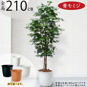 ݂ ~W tFCNO[ ^  lC A CeAO[ lHϗtA lH ϗtA  A[gO[ A[gvc CeA IuWF Ƌ  Mt