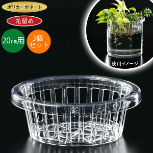 |J[{l[g ԗ Ԋ  t[x[X lC  Ԏ ԕr CeA v ϏՌ ό y  NA   t }  t[AWg  