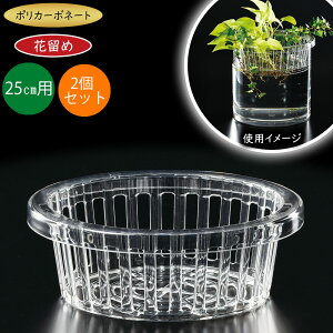 |J[{l[g ԗ Ԋ  t[x[X lC  Ԏ ԕr CeA v ϏՌ ό y  NA   t }  t[AWg  