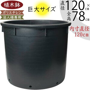 Aؔ  ^ v^[ lC  ubN C^A |bg ϗt | Jo[ e |pi K[fjO A   y y ^t v _  Ɩp Y