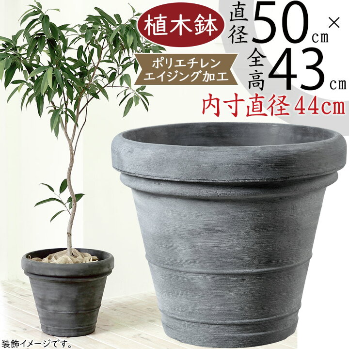 楽天市場】植木鉢 大型 おしゃれ 人気 プランター おすすめ ポット 器 