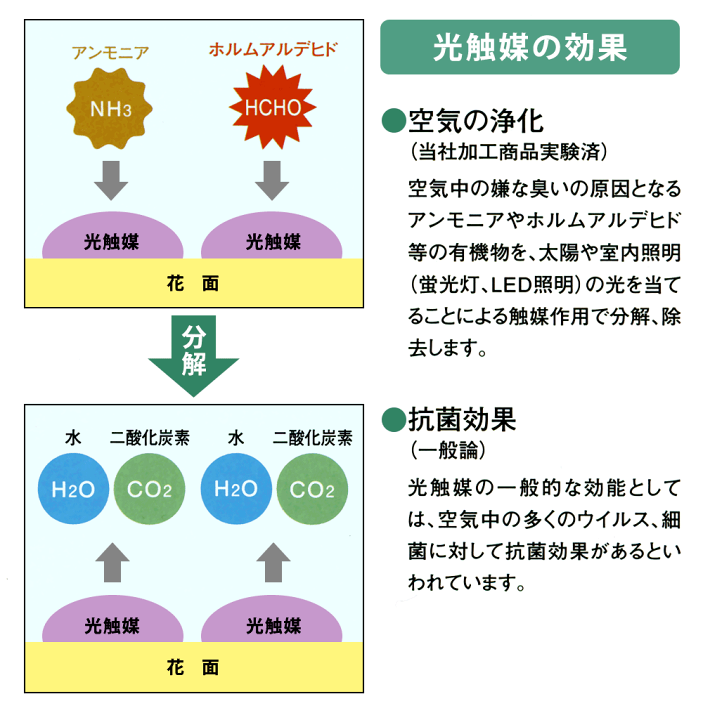 楽天市場】胡蝶蘭 鉢花 7本立 光触媒加工 ピュア オーキッド