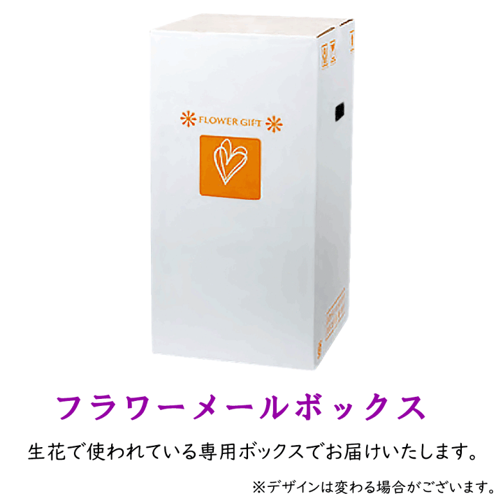楽天市場】胡蝶蘭 鉢花 7本立 光触媒加工 ピュア オーキッド