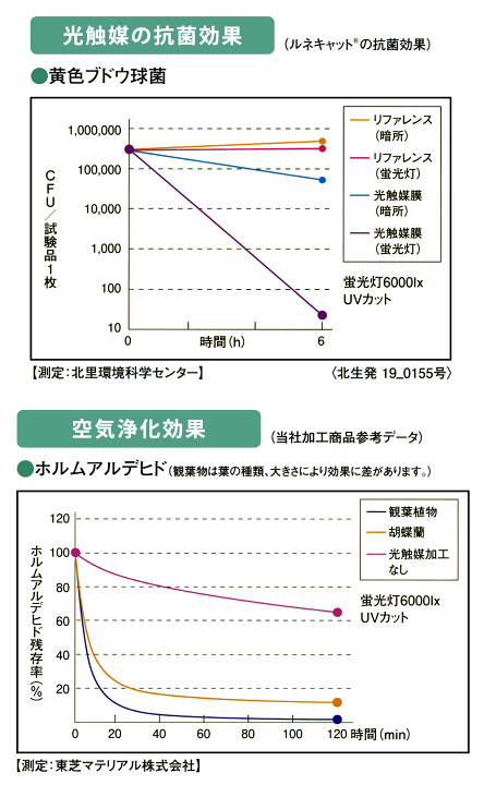 光触媒　人工観葉植物　フェイクグリーン　胡蝶蘭　ピュアオーキッド2本立ホワイト 楽天市場】胡蝶蘭 鉢花 3本立 光触媒加工 ピュア オーキッド