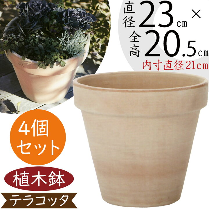 楽天市場】植木鉢 テラコッタ おしゃれ 人気 プランター おすすめ 8号 