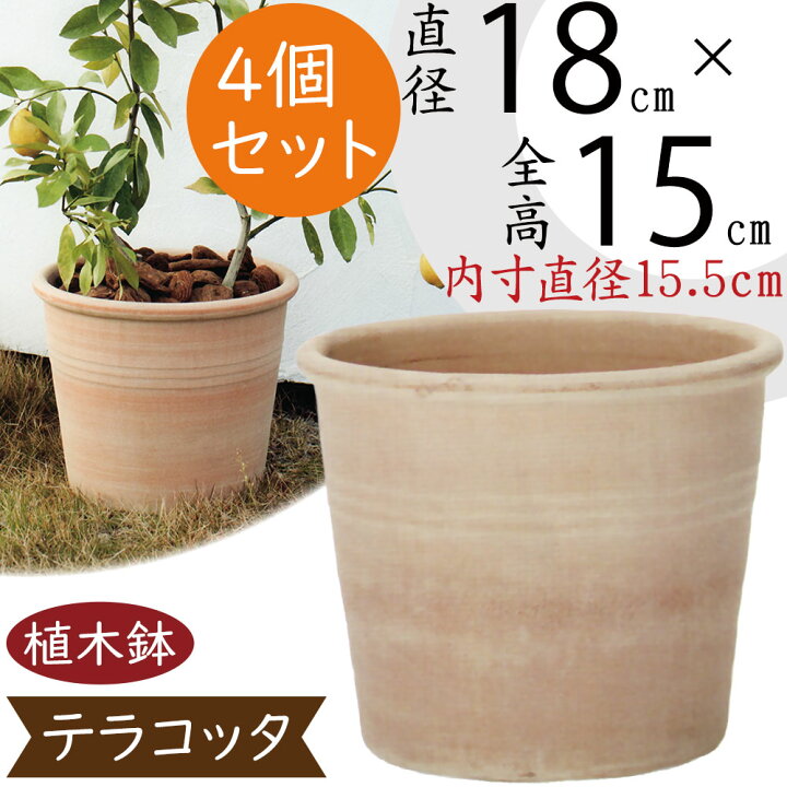 楽天市場】植木鉢 テラコッタ おしゃれ 人気 プランター おすすめ 6号 