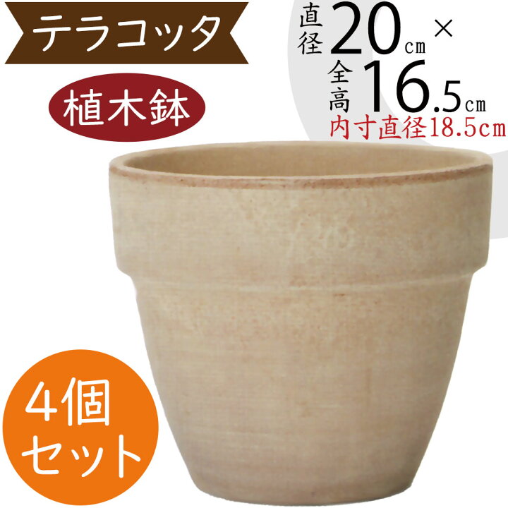 楽天市場】植木鉢 テラコッタ おしゃれ 人気 プランター おすすめ 7号 