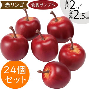 HiTv P A lC  ь S Abv tFCNt[h ʕ t[c   AWg fBXvC e[uR[fBl[g  ͌^  X 