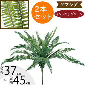 ^}V_ tFCNO[  CeAO[ A lHϗtA ϗtA  A[eBtBVt[ t ԍ ʃV_ ltsX t[AWg fBXv