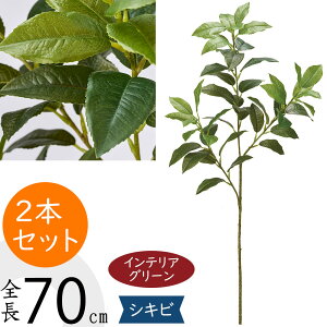 tFCNO[ VLr  lC CeAO[ A  lHϗtA ԍ ϗtA A[gvc t[AWg fBXvC  G Ƌ } } t