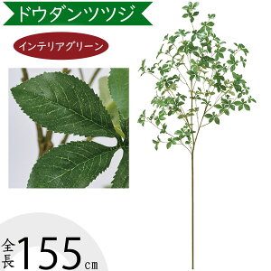 hE_ccW tFCNO[ ^  ϗtA A lC CeAO[  lHϗtA lH  A[gvc A[gO[ CeA  fBX