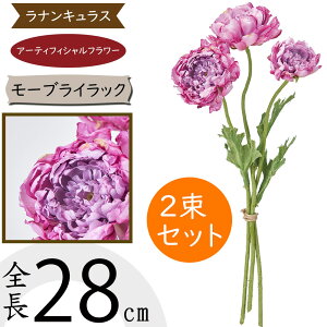 iLX   lC A A[eBtBVt[ Mtg v[g t[AWg fBXvC G CeA Ƌ pi ԍ Cxg ꑕ 