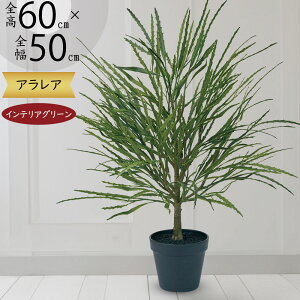 tFCNO[ ϗtA  lC A AA fBWSZJ AA CeAO[ CeA  lHϗtA lH A[gO[ A[gvc  I