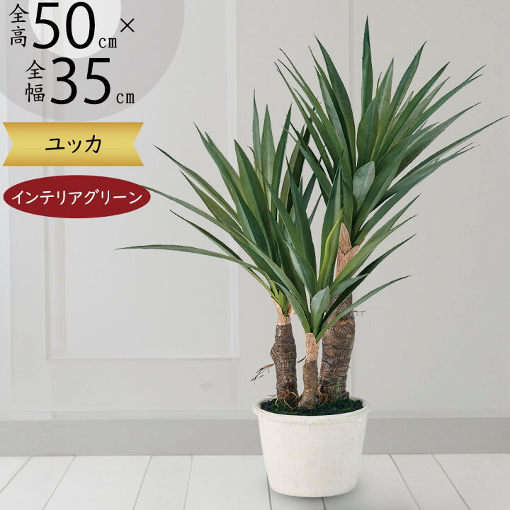 楽天市場】【フェイクグリーン】観葉植物 おしゃれ ドラセナ ユッカ 