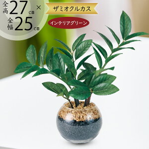 tFCNO[ ϗtA  CeAO[ A lC  U~INJX U~tHA lHϗtA lH IuWF ^   TCY e[uTC