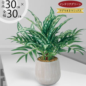 tFCNO[ ϗtA  CeAO[ lC  A AOIl} ^   CeA IuWF  CeA A[eBtBVt[ lH