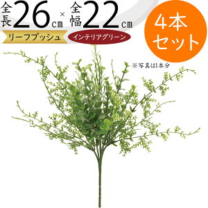 tFCNO[  lC CeAO[ A lHϗtA  lH A[gvc A[gO[ ϗtA ChAO[ CeA IuWF  ԍ t 