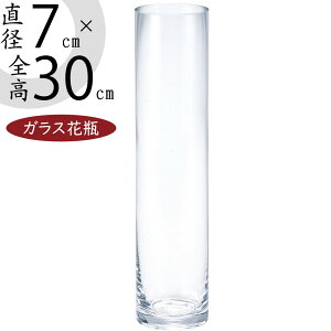 ガラス花瓶 大型 おしゃれ 人気 フラワーベース 花器 花瓶 ガラス花器 ガラス シリンダー 円柱 筒型 筒形 インテリア 透明 クリア 硝子 花入れ フラワーアレンジメント 花 緑 花束 ブーケ デ