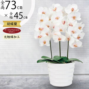 Ӓ  3{ G}H sA I[Lbh   A lC   Mtg i p ^ 傫 傫 t[AWg t@mvVX Vzj 