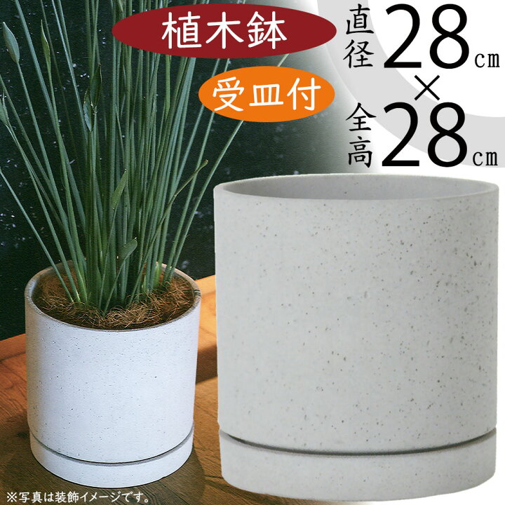 楽天市場】植木鉢 おしゃれ 人気 プランター 受け皿付き おすすめ 観葉 