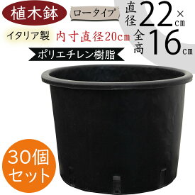 【植木鉢】おしゃれ 小型 プランター シンプルブラック ナーセリーポット ロータイプ 30個セット 直径22cm×全高16cm ポリエチレン製 おすすめ 園芸 ガーデニング 観葉植物 花 緑 インテリアグリーン ブラック 黒 屋内 屋外 テラス ファサード お庭 広場 生産用ポット 業務用