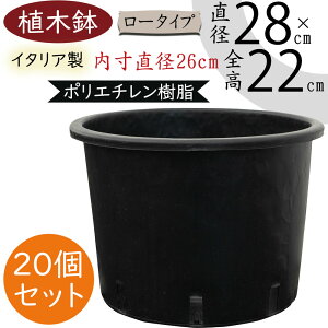 Aؔ  v^[ lC  ubN C^A |bg ϗt | Jo[ e |pi K[fjO A    y y ^t v _  Ɩp Yp