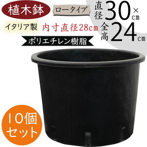 Aؔ  ^ v^[ lC  ubN C^A |bg ϗt | Jo[ e |pi K[fjO A    y y ^t v _  Ɩp 