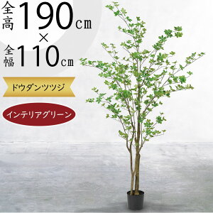 hE_ccW  tFCNO[ ^ lC CeAO[ lHϗtA  ϗtA A[gvc A[gO[ CeA IuWF Ƌ  rO X It