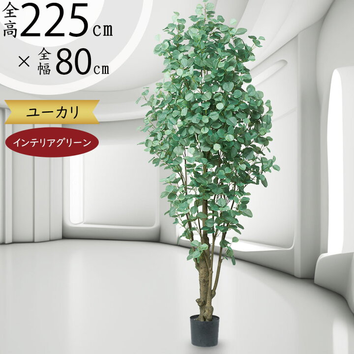 楽天市場】ユーカリ フェイクグリーン 大型 おしゃれ 人気 観葉植物 