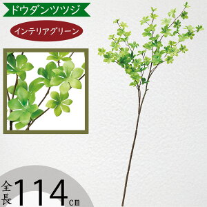 hE_ccW tFCNO[ ^  ϗtA A lC CeAO[  lHϗtA lH  A[gvc A[gO[ CeA  fBX