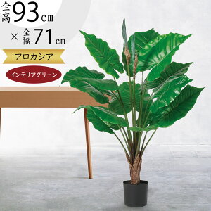 NYC tFCNO[ lC  CeAO[ A lHϗtA ϗtA lH  A[gvc A[gO[  CeA IuWF Ƌ  r