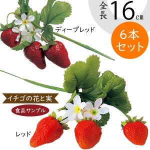 HiTv  lC C`S  Xgx[ A tFCNt[h   t[AWg fBXvC e[uR[fBl[g ꑕ ͌^  X j[