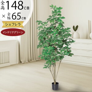 tFCNO[  VFt J|bN ϗtA CeAO[ A lC  lHϗtA  lH A[gO[ ~h Ƌ IuWF CeA  