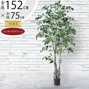 tFCNO[  lC xW~ tBJX xW~i CeAO[ ϗtA lHϗtA  lH  A[gO[ CeA IuWF  Mtg 