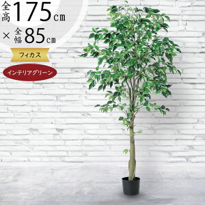 tFCNO[ ^  lC xW~ tBJX xW~i CeAO[ ϗtA lHϗtA  lH A[gO[ CeA IuWF  Mtg 