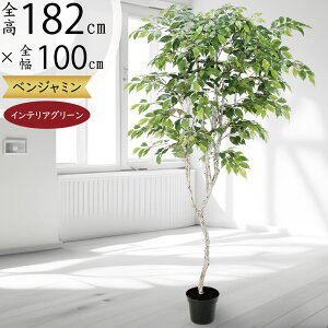 tFCNO[ ^  lC xW~ tBJX xW~i CeAO[ ϗtA lHϗtA  lH A[gO[ CeA IuWF  Mtg 