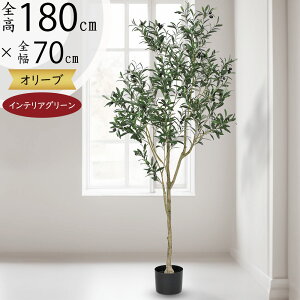 I[u̖ ^ tFCNO[  lC ϗtA CeAO[ A lHϗtA   A[gO[ A[gvc CeA Ƌ IuWF I[u I