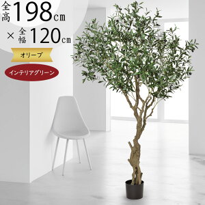 I[u̖ ^ tFCNO[  lC ϗtA CeAO[ A lHϗtA   A[gO[ A[gvc CeA Ƌ IuWF I[u I