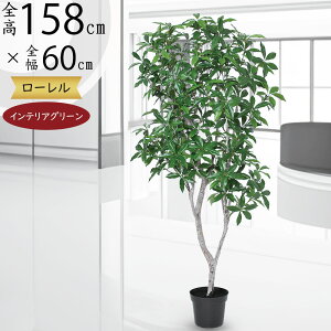 tFCNO[  A [ j CeAO[ lHϗtA ϗtA  A[gO[ A[gvc CeA IuWF n[u [G xC[t 