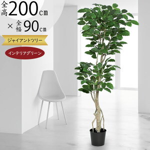 tFCNO[ ^  lC CeAO[ A ϗtA lHϗtA   A[gvc A[gO[ CeA Ƌ IuWF  rO Q X It