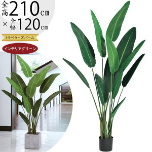 Xg`A Xg`A tFCNO[ ^  lC  A CeAO[ lHϗtA   ϗtA A[gO[ A[gvc CeA IuWF