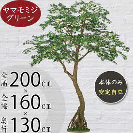 【フェイクグリーン】おしゃれ 人気 おすすめ 大型 特大 リアル 観葉植物 インテリアグリーン モミジ もみじ 紅葉 青モミジ 全高200cm コアッド 大きい 人工観葉 樹木 造花 アートグリーン インテリア オブジェ ナチュラル イベント ディスプレイ 大空間 上質 苔 コケ モス