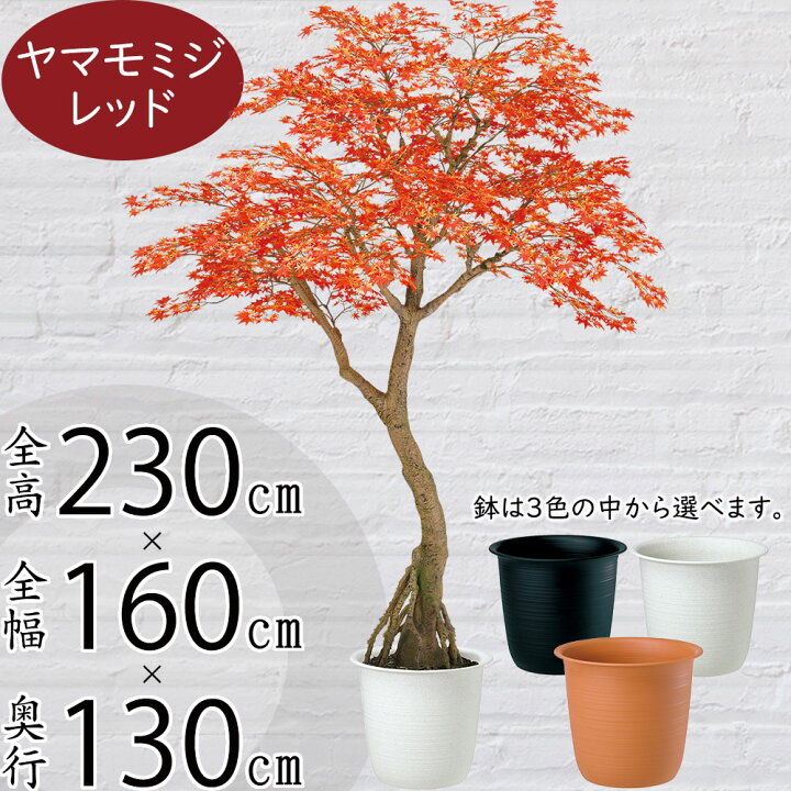 楽天市場】フェイクグリーン 大型 赤 モミジ もみじ 紅葉 山もみじ 山 