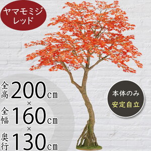 tFCNO[ ^  ~W ݂ gt R݂ Rgt  CeAO[ A lC lHϗtA  ϗtA A[gO[ lH X Vbv Ǝ{ 