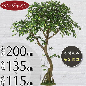 tFCNO[ ^ xW~ tBJX xW~i  CeAO[ A lC lHϗtA  ϗtA A[gO[  X Vbv Ǝ{  f