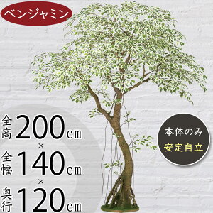 tFCNO[ ^ xW~ tBJX xW~i  CeAO[ A lC lHϗtA  ϗtA A[gO[  X Vbv Ǝ{  f