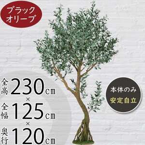 tFCNO[ ^ I[u I[u̖ I[u̎  CeAO[ A lC lHϗtA  ϗtA A[gO[  X Vbv Ǝ{  f