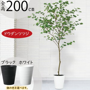 hE_ccW  tFCNO[ ^ lC CeAO[ lHϗtA lH ϗtA A[gvc A[gO[ CeA IuWF Ƌ  rO X 