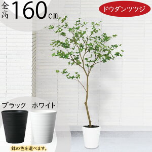 hE_ccW  tFCNO[ ^ lC CeAO[ lHϗtA lH ϗtA A[gvc A[gO[ CeA IuWF Ƌ  rO X 